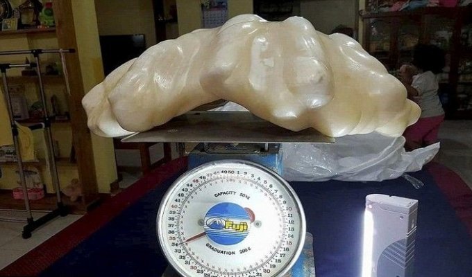 Рыбак нашел 34-килограммовую жемчужину стоимостью 100 миллионов долларов и 10 лет хранил её под кроватью (4 фото)