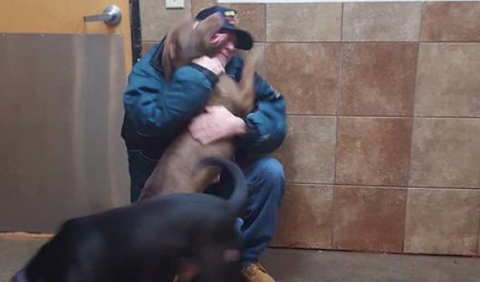 Мужчина пришел выкупить своих собак из приюта, слова сотрудницы заставили его заплакать! (3 фото + 1 видео)