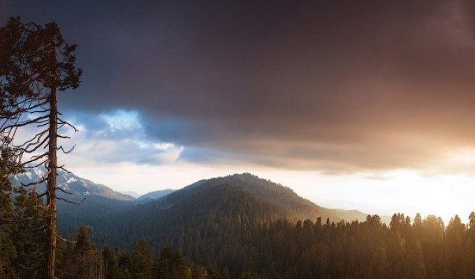 Национальный парк «Секвойя» в Калифорнии (24 фото)