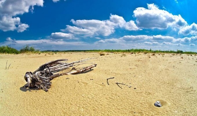 15 фото настоящей пустыни в Польше: откуда она там взялась? (16 фото)