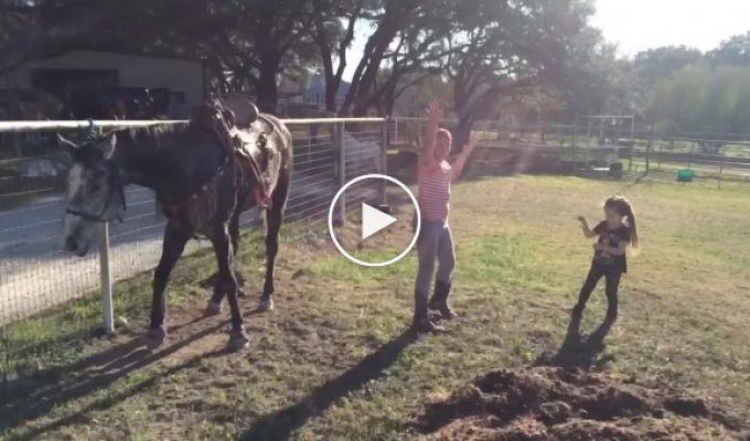 Девочки начали танцевать под любимую песню и завели этим стоящую рядом лошадь