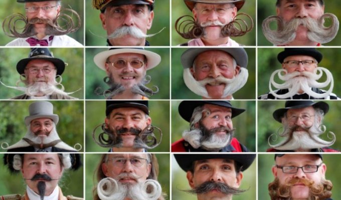 Конкурс усов и бород во Франции (14 фото)