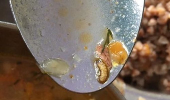 В пище украинских летчиков-курсантов обнаружили червей и тараканов (2 фото)