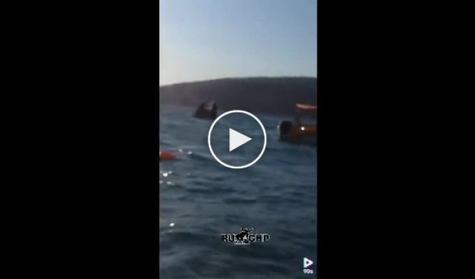 Кадры спасения пассажиров катамарана Атолл, перевернувшегося во время морской прогулки в Черном море