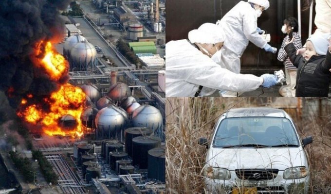 10 лет ядерной катастрофе на "Фукусиме-1": последствия и факты (21 фото)
