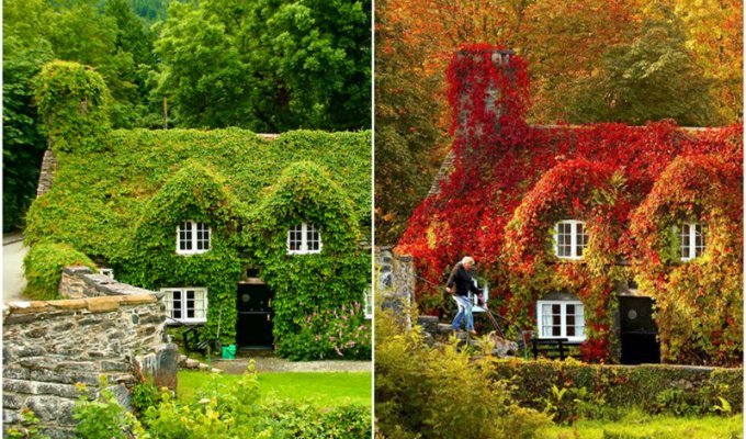 Осенние преображения: пейзажи до и после (24 фото)