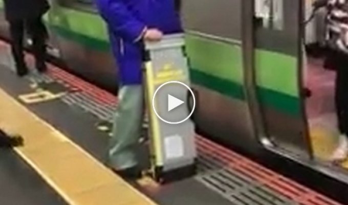 Вот так вот работает метро в Японии