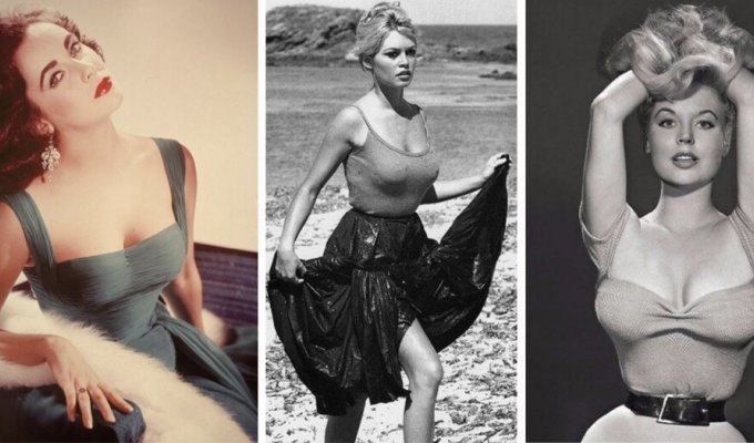 Идеал женской красоты образца 50-х: наглядного о секс-символах того времени (16 фото)