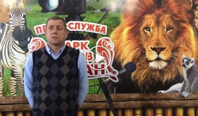 Он поверил сказкам новой власти. Крымский парк «Тайган» закрыт на месяц из-за нарушений