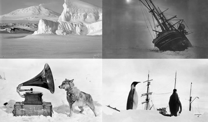 Антарктические экспедиции (20 фото)