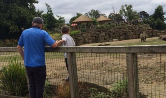Отец пустил своего ребенка в вольер с носорогами для красивого селфи (4 фото)