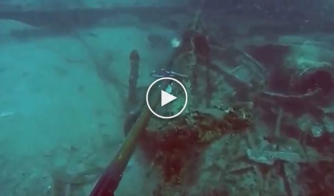Как взбесить подводного охотника