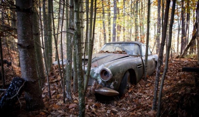 В лесу нашли на брошенный Aston Martin стоимостью $400.000 (34 фото)