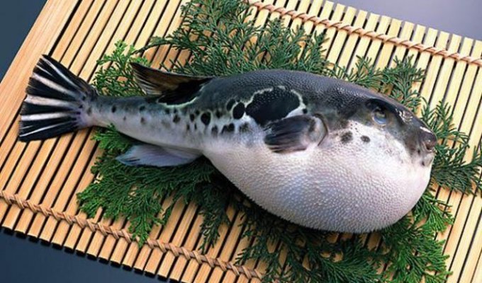 Самая дорогая рыба в мире (10 фото)