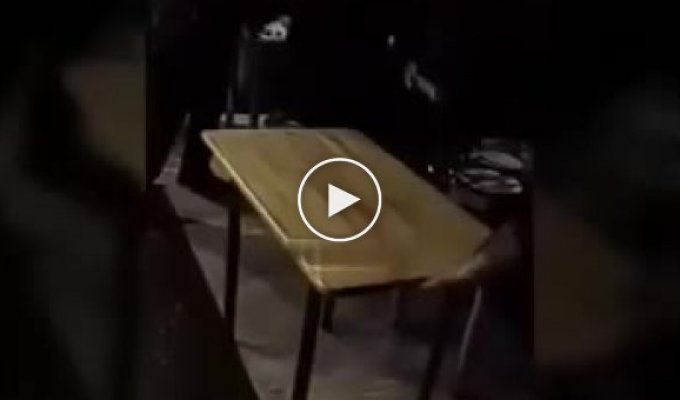 Мужчина с бензопилой напал на посетителей кафе в Находке