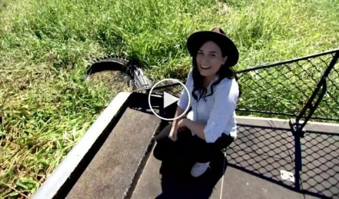 Крокодил напал на австралийскую ведущую, когда она хотела сфотографироваться с ним