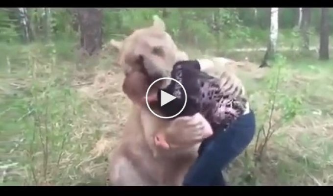 Медведь и его ручной человек решили побороться