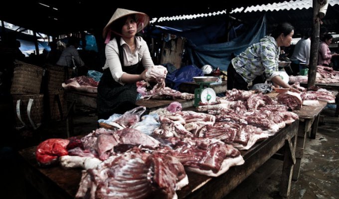 Мясной чемпионат на вьетнамском рынке (15 фото)