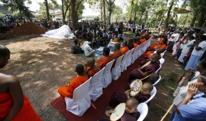 Как буддистские монахи хоронят слонов (10 фото)