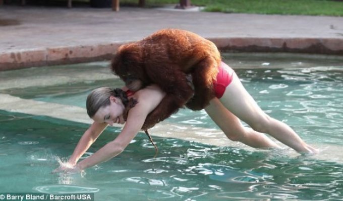 Уроки плаванья с орангутангом (5 фото)