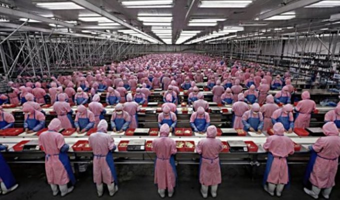  Работа на огромных китайских фабриках (17 Фото)