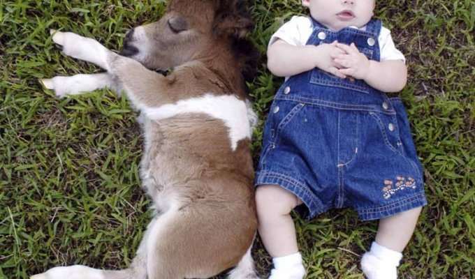 25 красивых фотографий о дружбе детей с благородными животными  (25 фото)