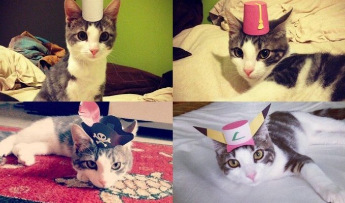 Трехлапый котенок в шляпе (15 фото)
