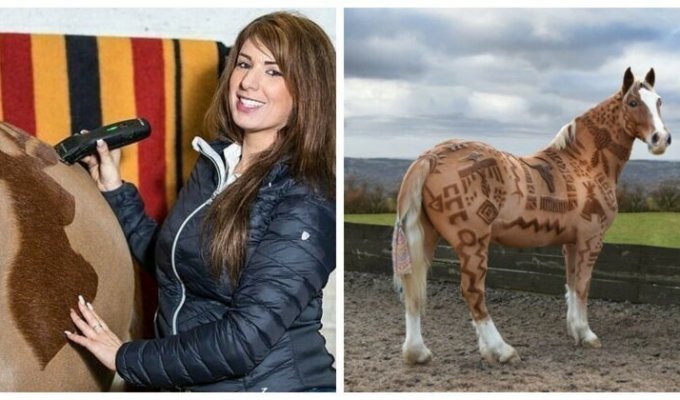 Британский парикмахер превращает лошадей в настоящие произведения искусства (8 фото)
