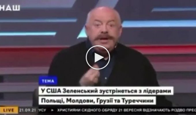 Интересные рассуждения на украинском телевидении. Вена была Украиной