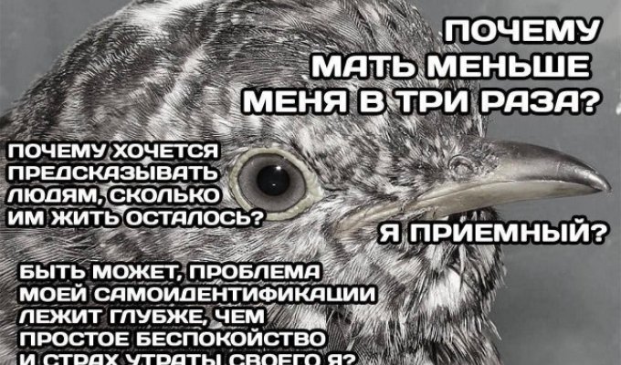 Лучшие шутки и мемы из Сети. Выпуск 466