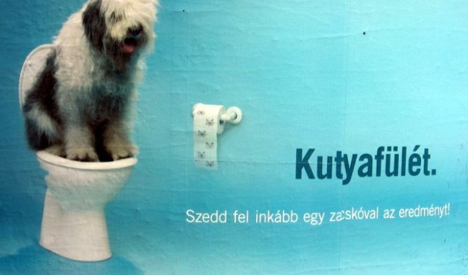 Венгерская социалка. Убирайте за собаками, скорей всего (4 плаката)