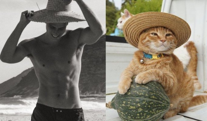 20 забавных коллажей, на которых наглядно видно, что у котов и красивых мужчин есть что-то общее (23 фото)