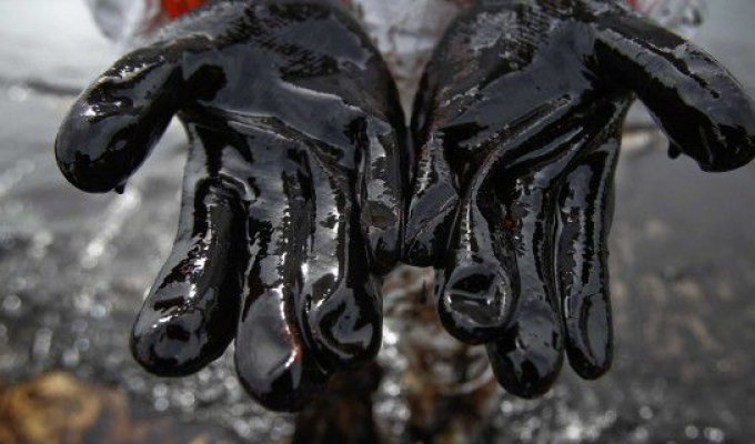 10 неожиданных направлений применения нефти (11 фото)
