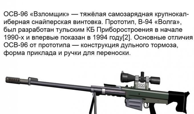 Русские снайперские винтовки (2 фото)