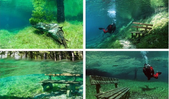Парк, который полгода находится под водой (4 фото)