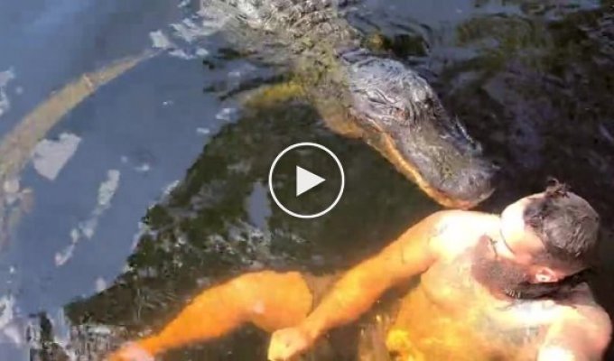 Крокодил укусил экстремала и заставил его покинуть свой водоем