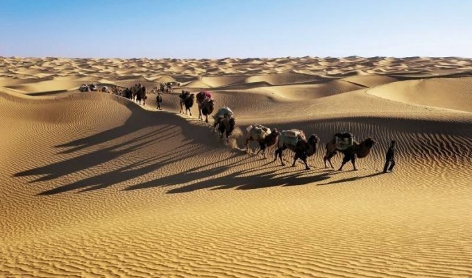 Необычные исчезновения в пустыне (5 фото)