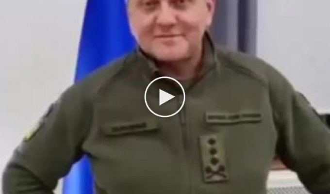 Главнокомандующий ВСУ генерал-лейтенант Валерий Залужный кратко, но емко охарактеризовал украинцев