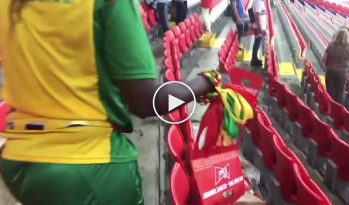 Вот это культура! Болельщики сборных Японии и Сенегала убрали за собой мусор на стадионах