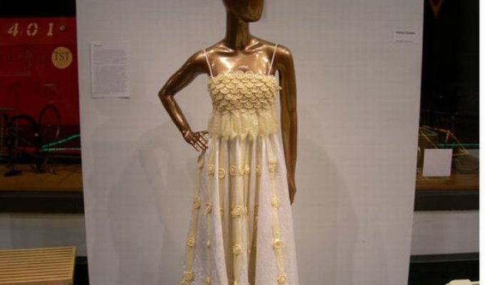 Необычное платье (6 фото)