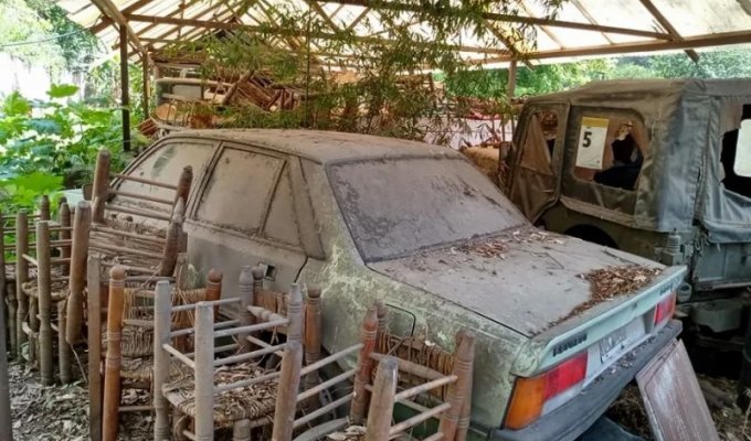 Заброшенная ферма с коллекцией редких автомобилей (19 фото)