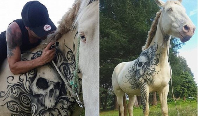 Тату-мастер дарит татуировки детям и лошадям (10 фото + 1 видео)