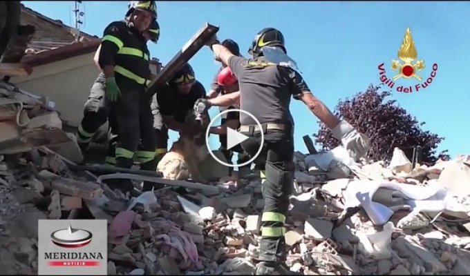 В Италии после землетрясения спасли золотистого ретривера, который провёл десять дней под завалами  