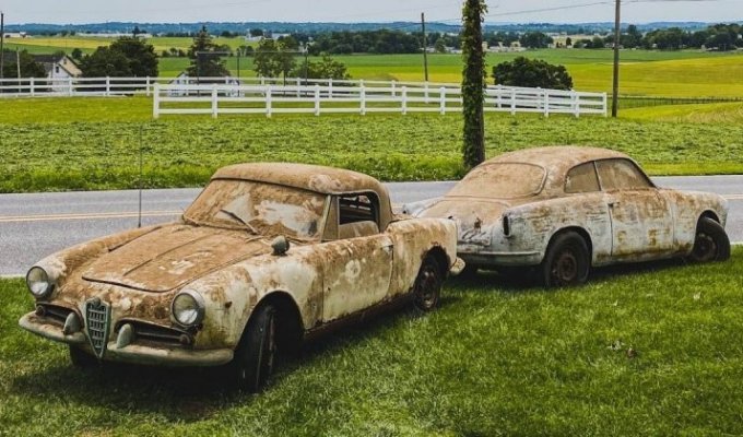 В США нашли пять классических Alfa Romeo, простоявших в сарае 40 лет (12 фото)