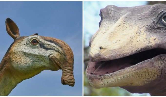 Пьяница и раздражитель: немецкие учёные потребовали переименовать динозавров из-за обидных и глупых названий (4 фото)