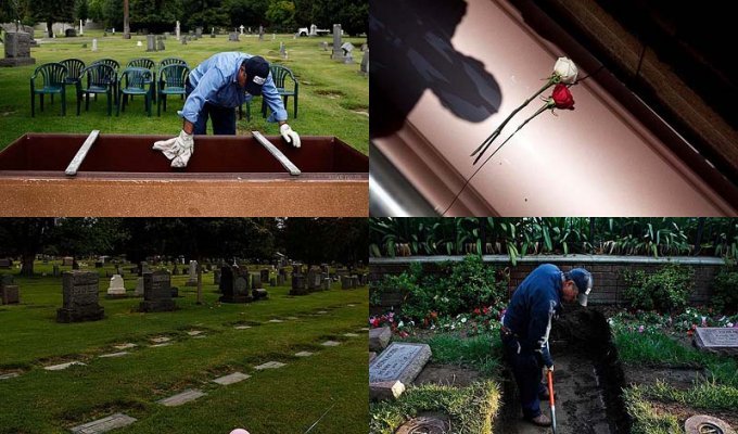 Всю жизнь на кладбище (12 фото)