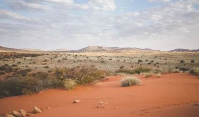 Африка. Пустыня Калахари — родина арбузов (3 фото)