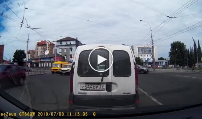 Неравнодушный водитель спас котенка в Калининграде