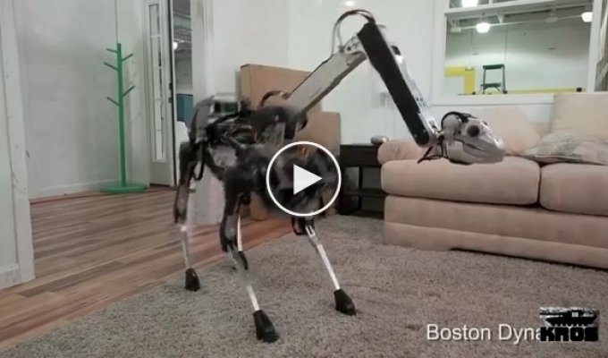 Непростая «жизнь» четвероногого робота компании BostonDynamics (маты)