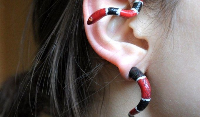 25 красивых и немного странных украшений для ушей, которые привлекут всеобщее внимание (24 фото)